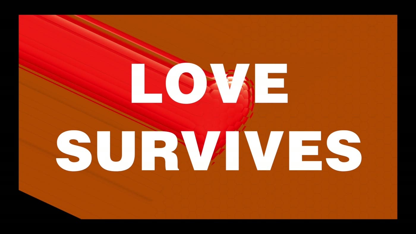 Love Survives — late-film frame